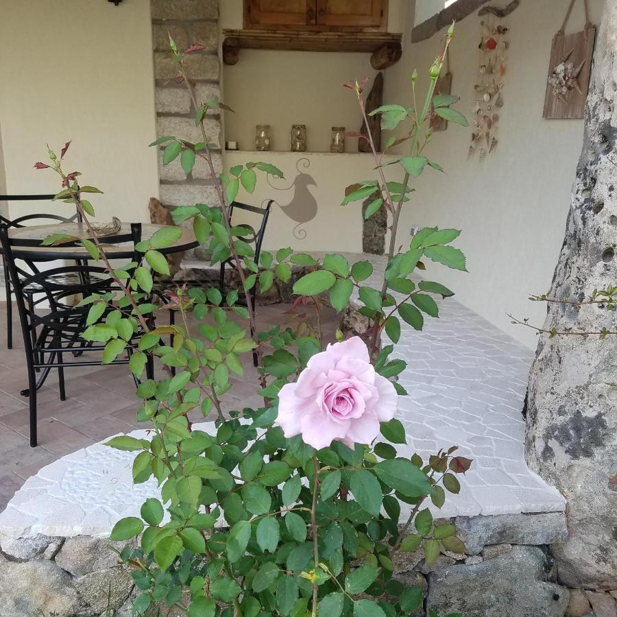 Nonna Pasqualina B&B Santa Teresa Gallura Exterior photo